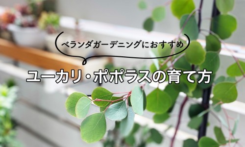 人体脂肪厚度多少是正常-权威人体脂肪最怕什么平台,分享专业人体脂肪含量标准表知识_人体脂肪厚度网